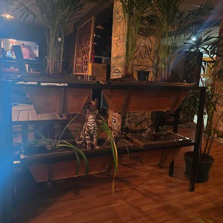 Portelli Hostal Zona G- Para Extranjeros Bogota Ngoại thất bức ảnh